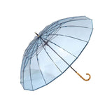 Blue umbrella