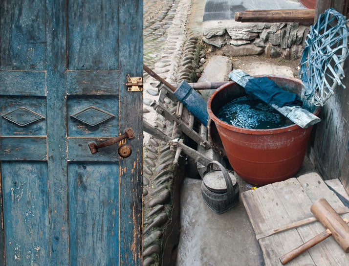 INDIGO : The color that changed the world
